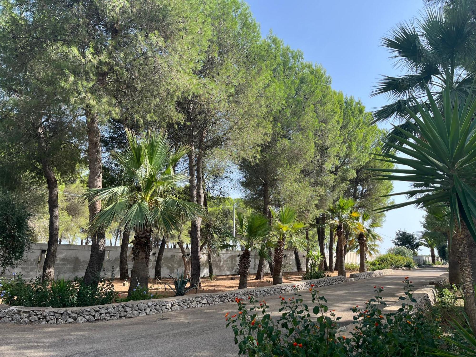 Masseria La Camardia Sava Екстер'єр фото