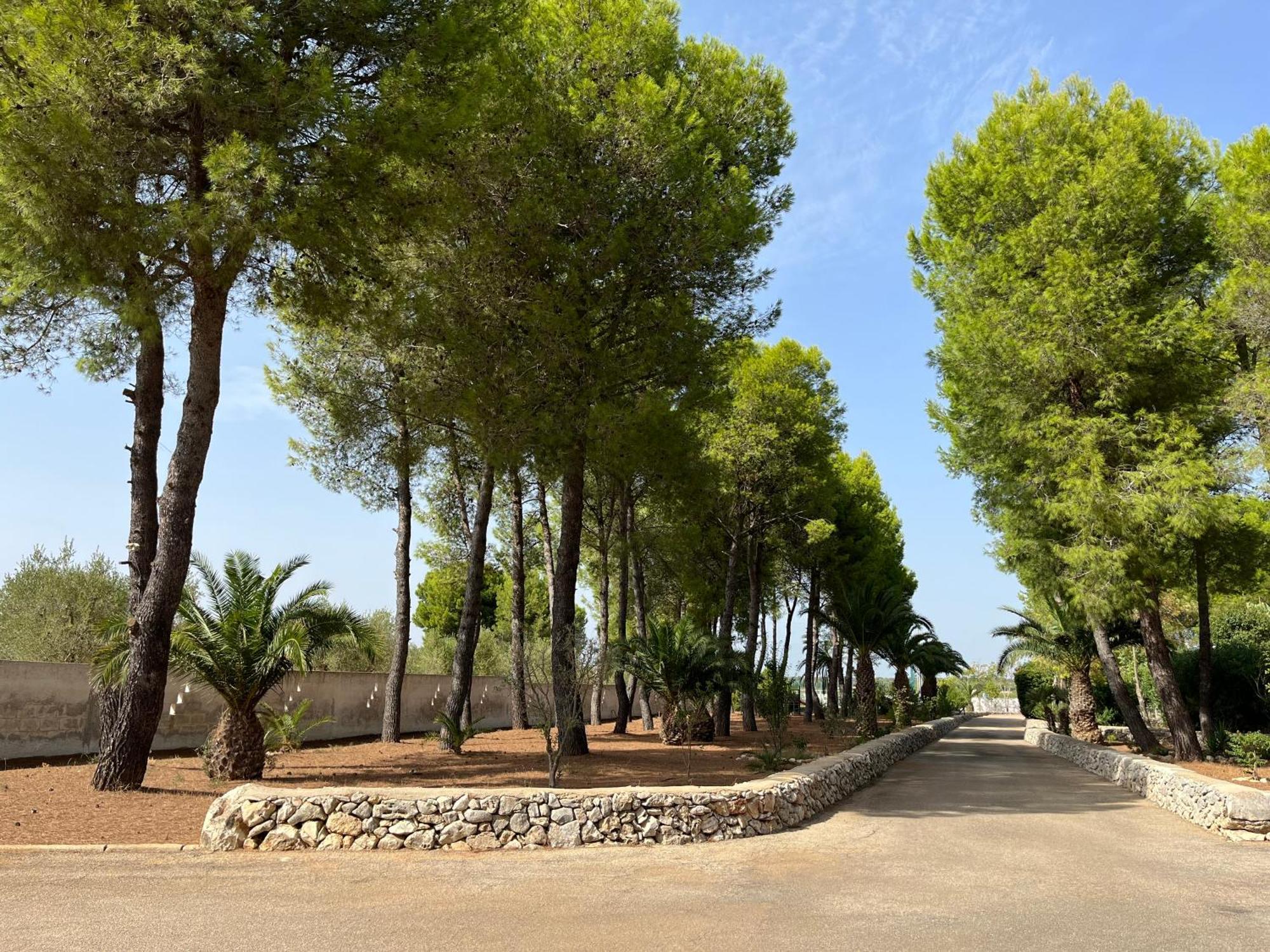 Masseria La Camardia Sava Екстер'єр фото
