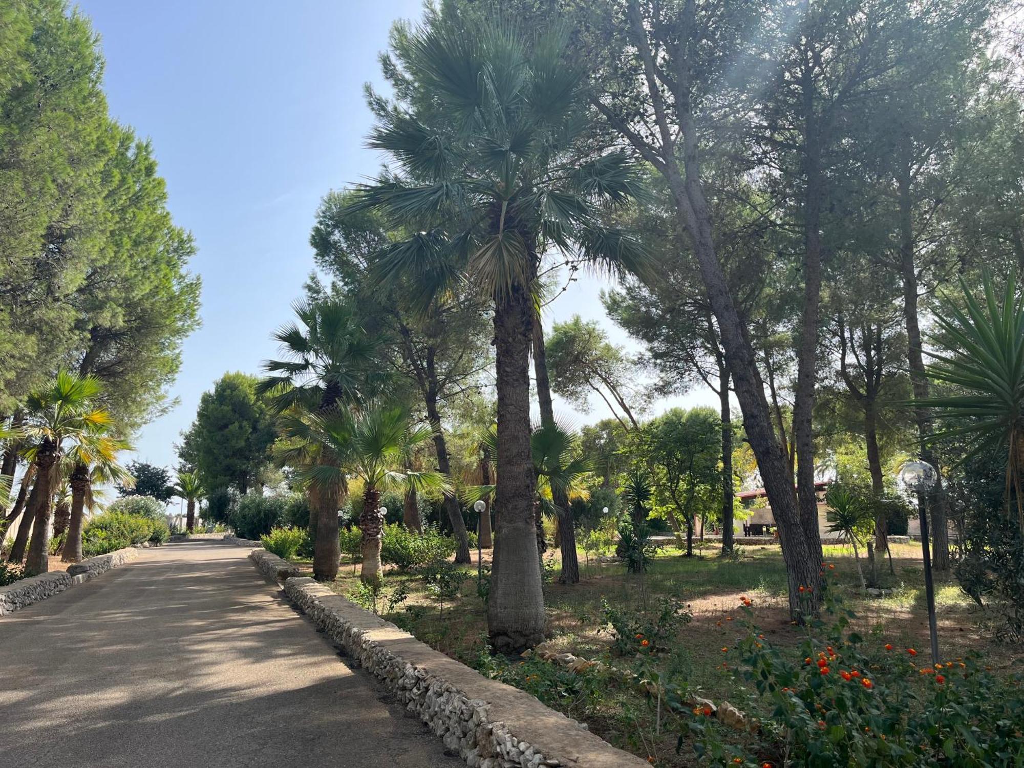 Masseria La Camardia Sava Екстер'єр фото