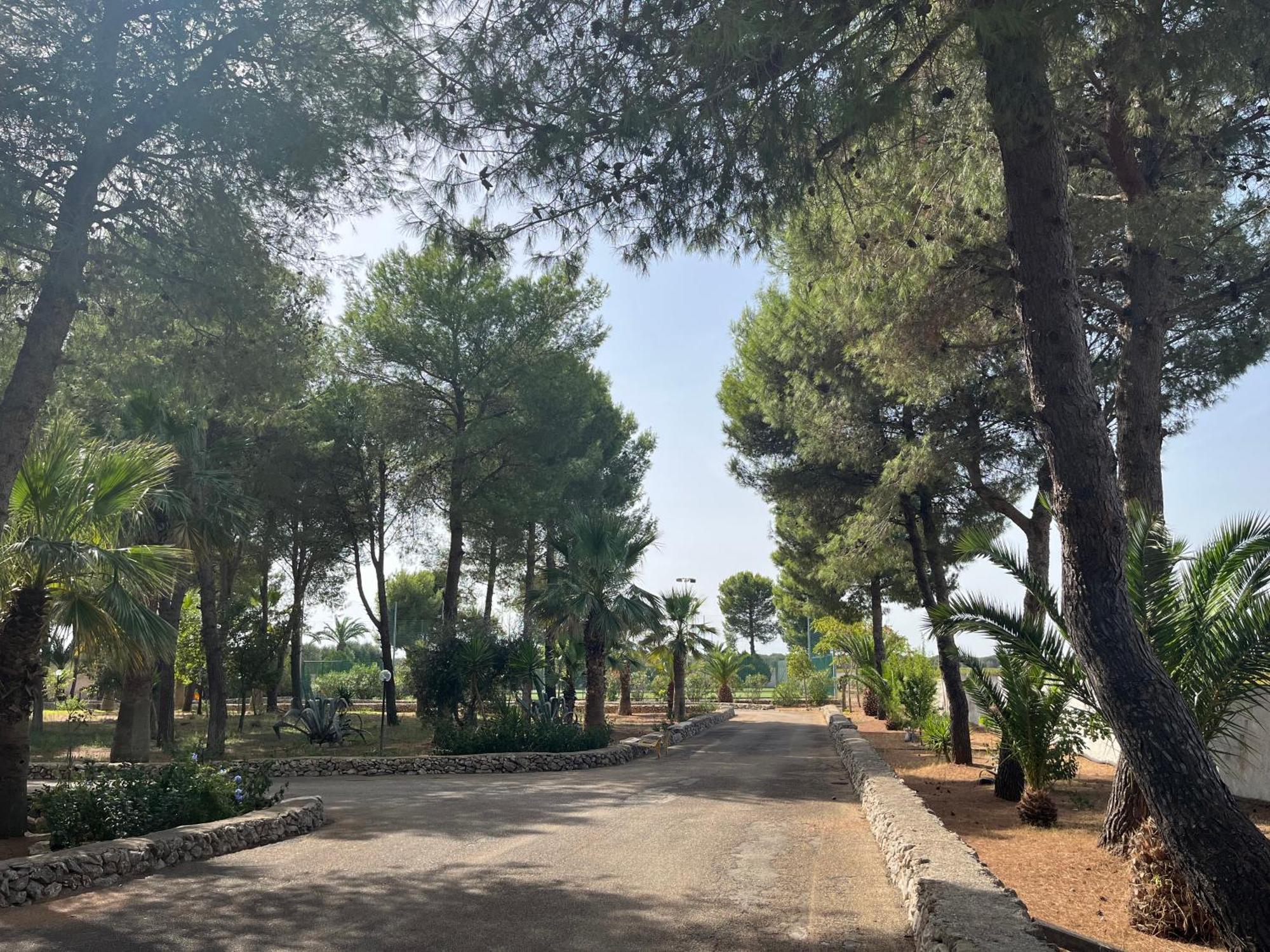 Masseria La Camardia Sava Екстер'єр фото