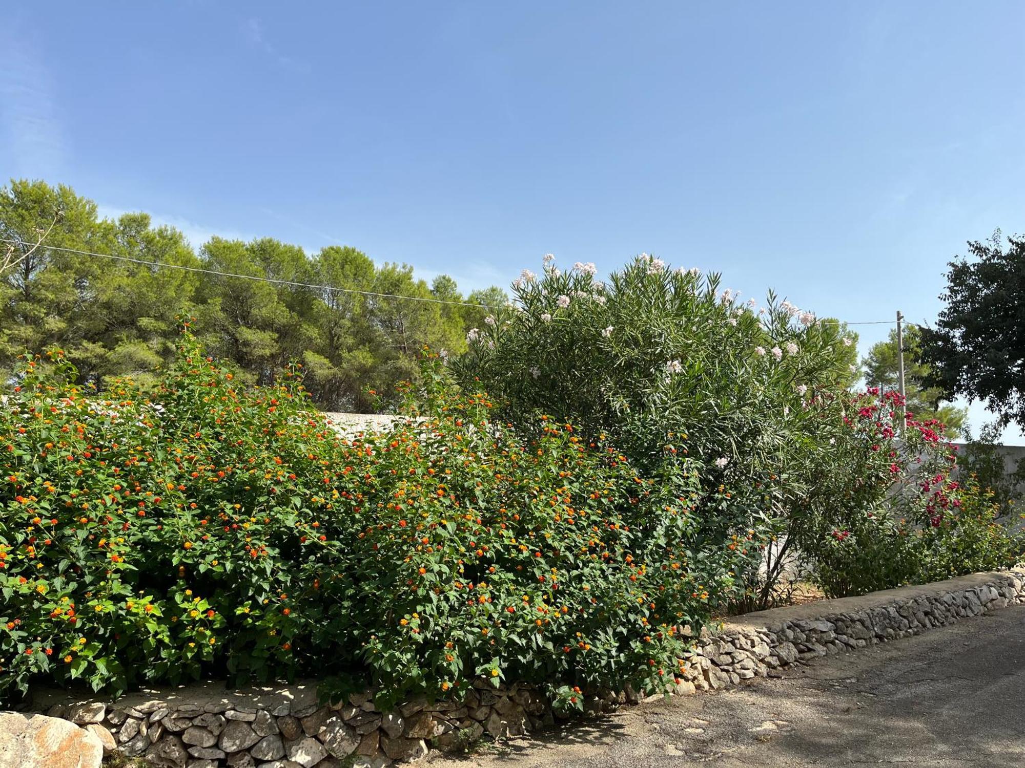 Masseria La Camardia Sava Екстер'єр фото