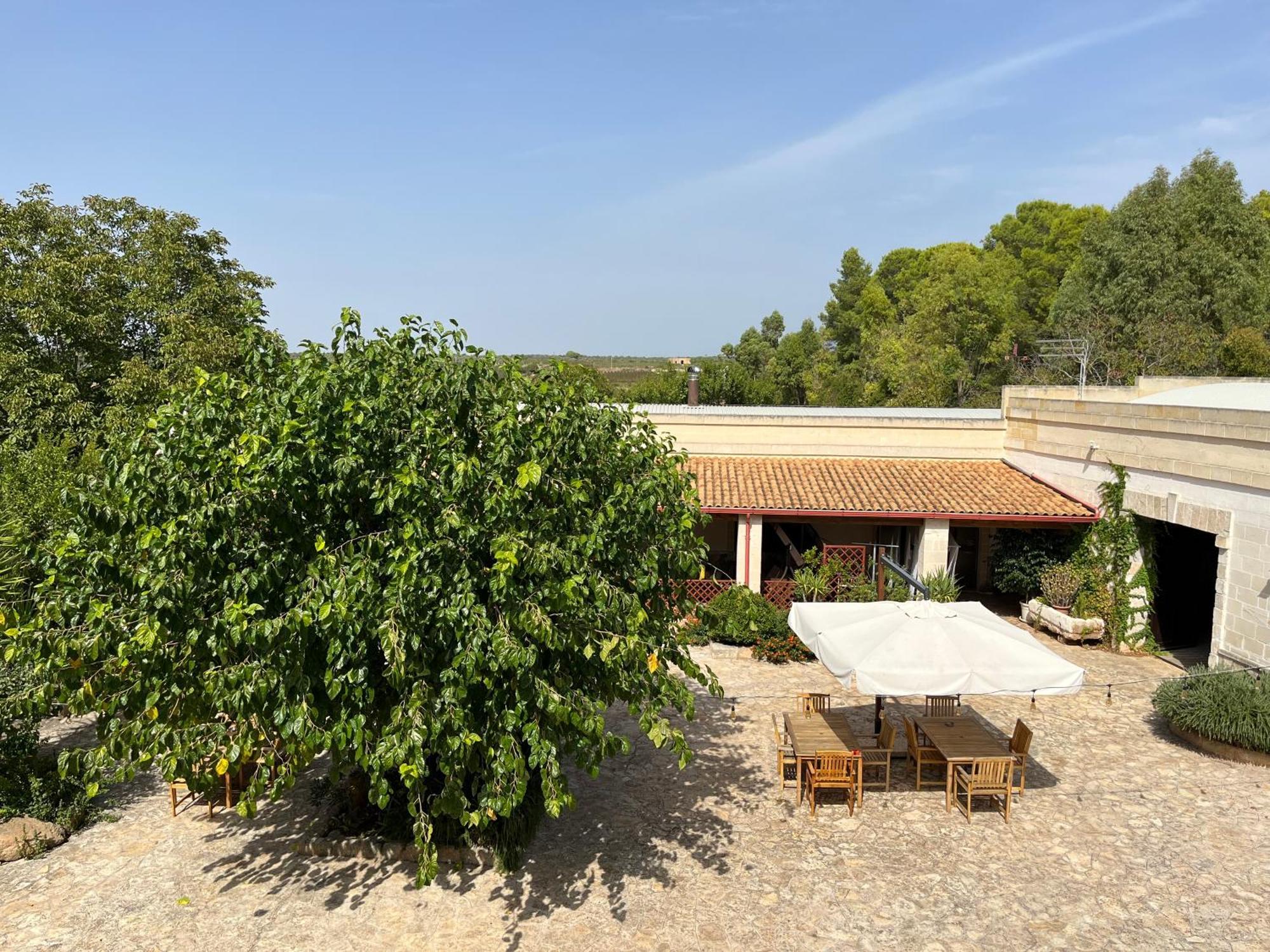 Masseria La Camardia Sava Екстер'єр фото
