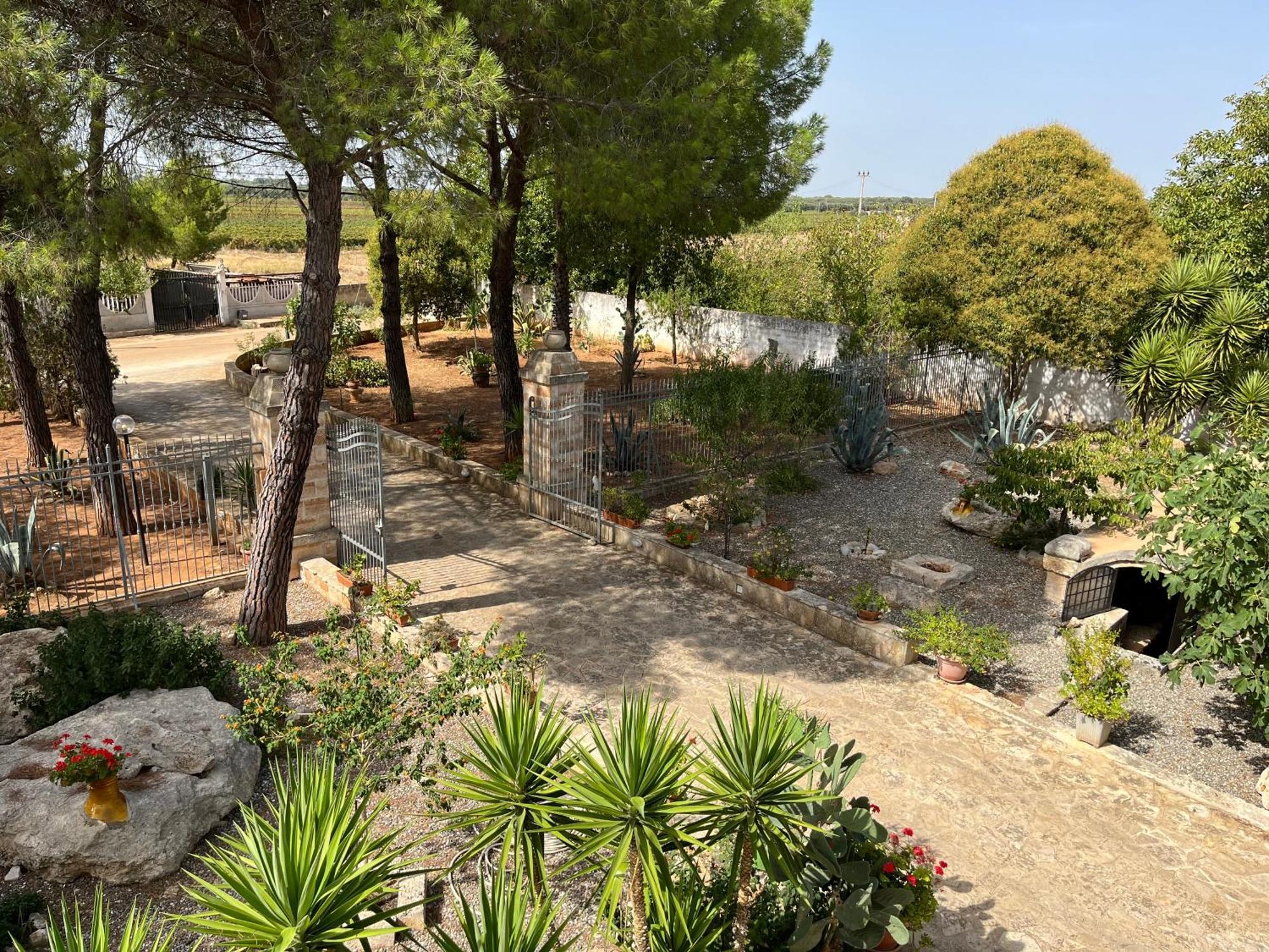 Masseria La Camardia Sava Екстер'єр фото